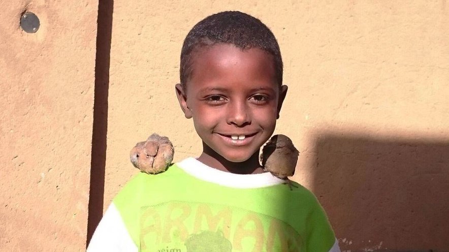 Sudan Boy with Birds