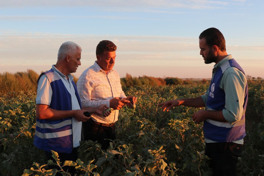 Shamel - Farmer in Syria