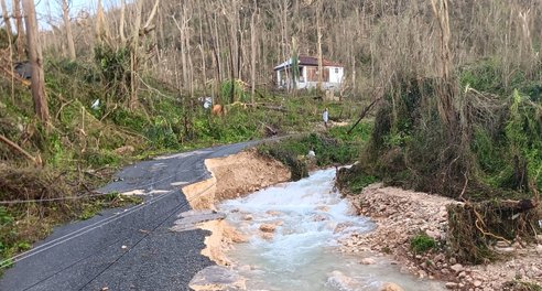 A road damaged by a storm, with fallen/broken trees and fast flowing water