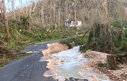 A road damaged by a storm, with fallen/broken trees and fast flowing water