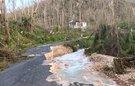 A road damaged by a storm, with fallen/broken trees and fast flowing water