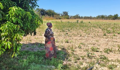 A woman looks out over a dry field, planted with unhealthy looking crops