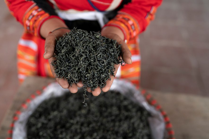 Tea production in Vietnam