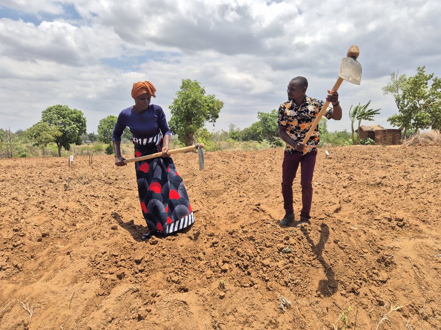 RS125942_MalawiFeldArbeitPaar