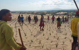 A group of people farming a very arid landscape
