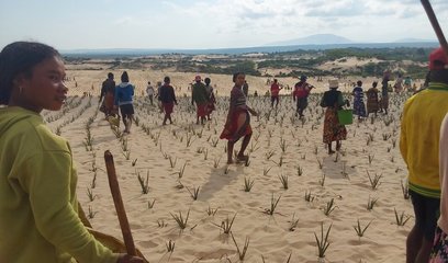 A group of people farming a very arid landscape