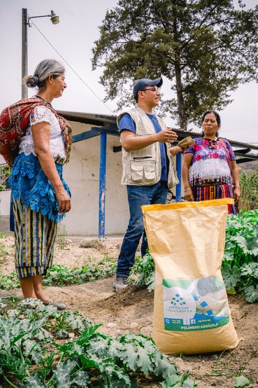 A group of 3 people talking in a small plantation of vegetable crops