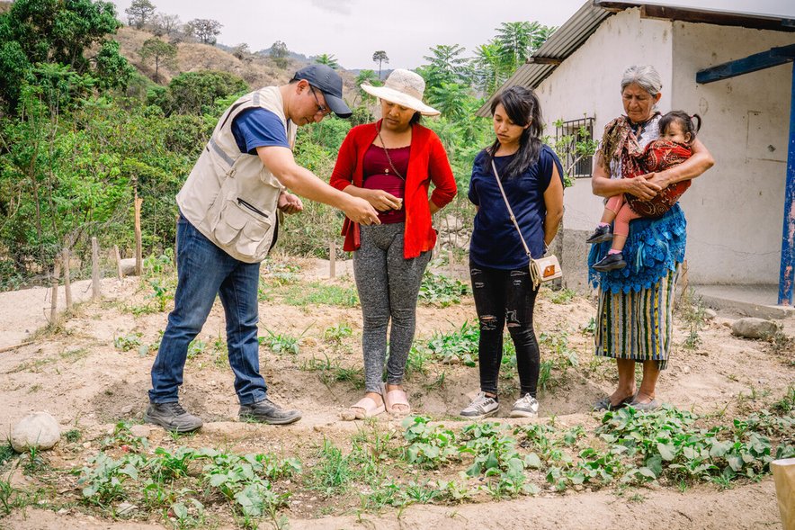 A group of four people stand talking over a vegetable plot. One person is wearing a vest and looks like he is explaining instructions.