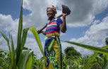 A woman stands holding a large spade in a field