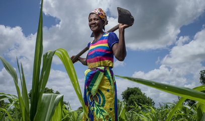 A woman stands holding a large spade in a field
