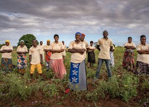 A group of people wearing CARE t shirts standing in a field of tomato crops