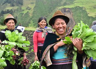 Three women with a crop of radishes, on a farm with a mountains in the background