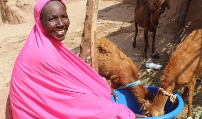 A woman holding a bucket which two goats are eating out of