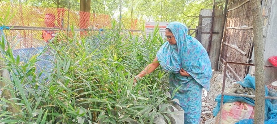 Rainwater harvesting