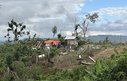 Damage after Hurricane Melissa in Westmoreland