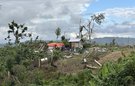 Damage after Hurricane Melissa in Westmoreland