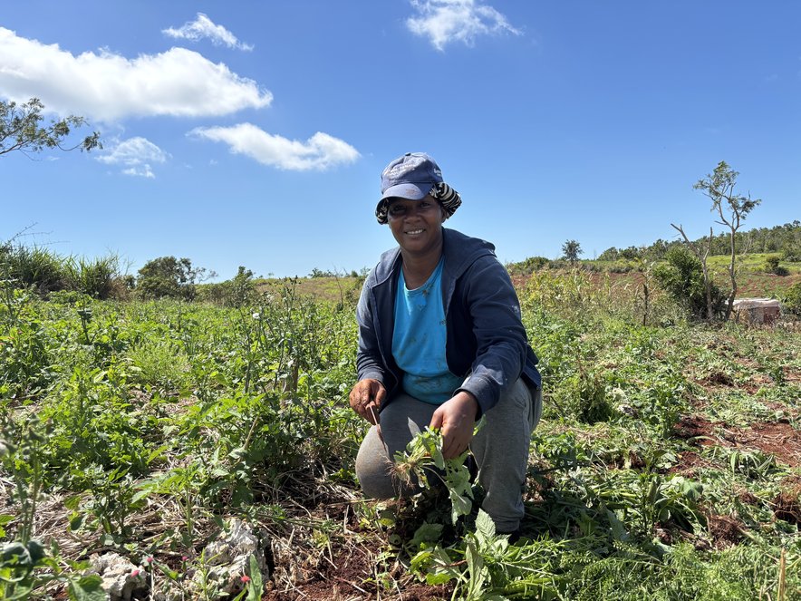 Linneth Whiteley farming in her field